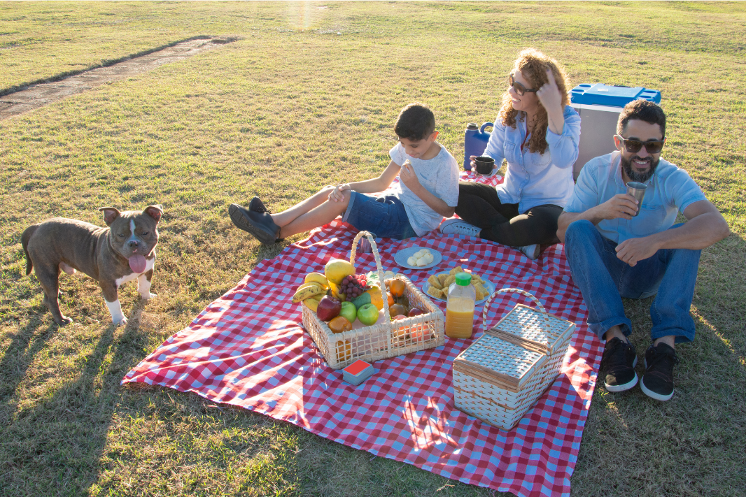 Picnic